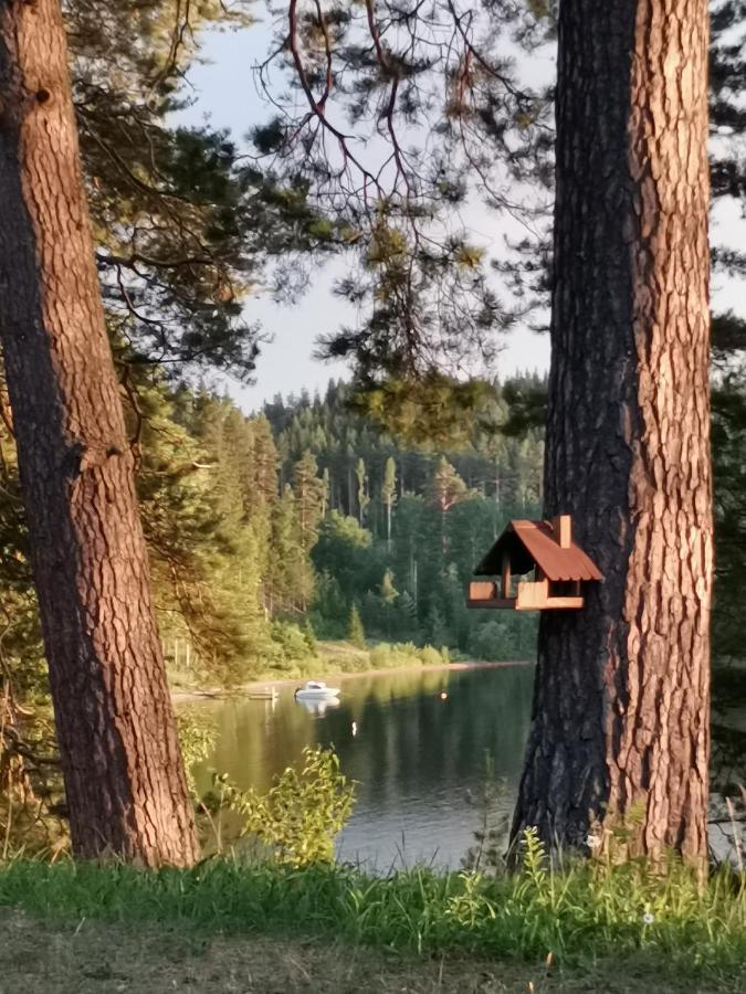 דירות Vuoriniemi Vuori Camp By Saimaa מראה חיצוני תמונה